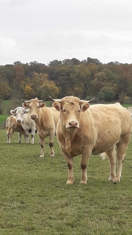 Gite La Besse, Claudon エクステリア 写真
